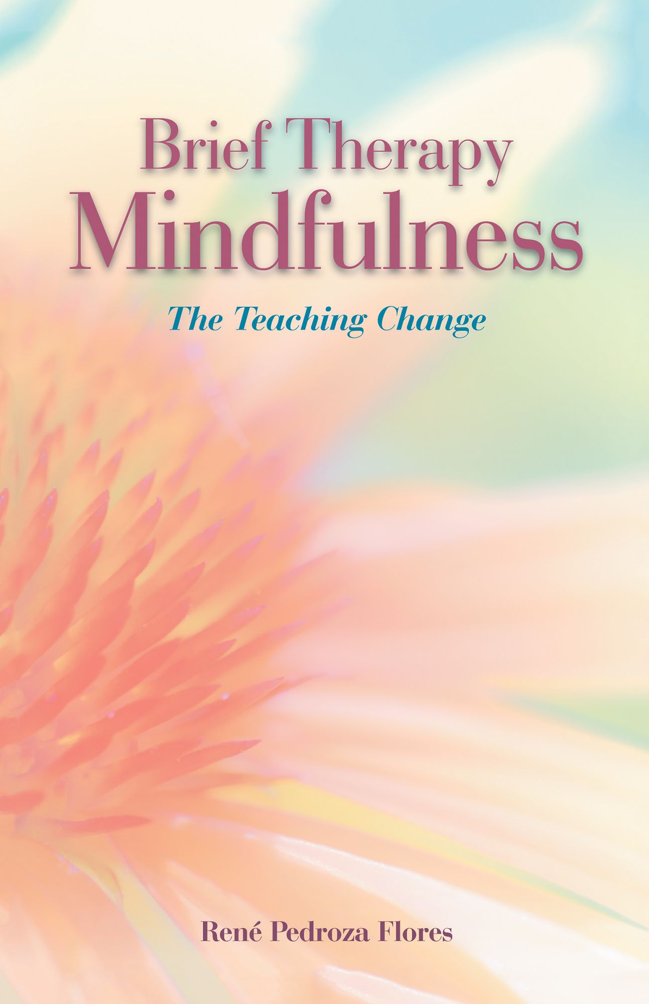 Brief Therapy Mindfulness: The Teaching Change