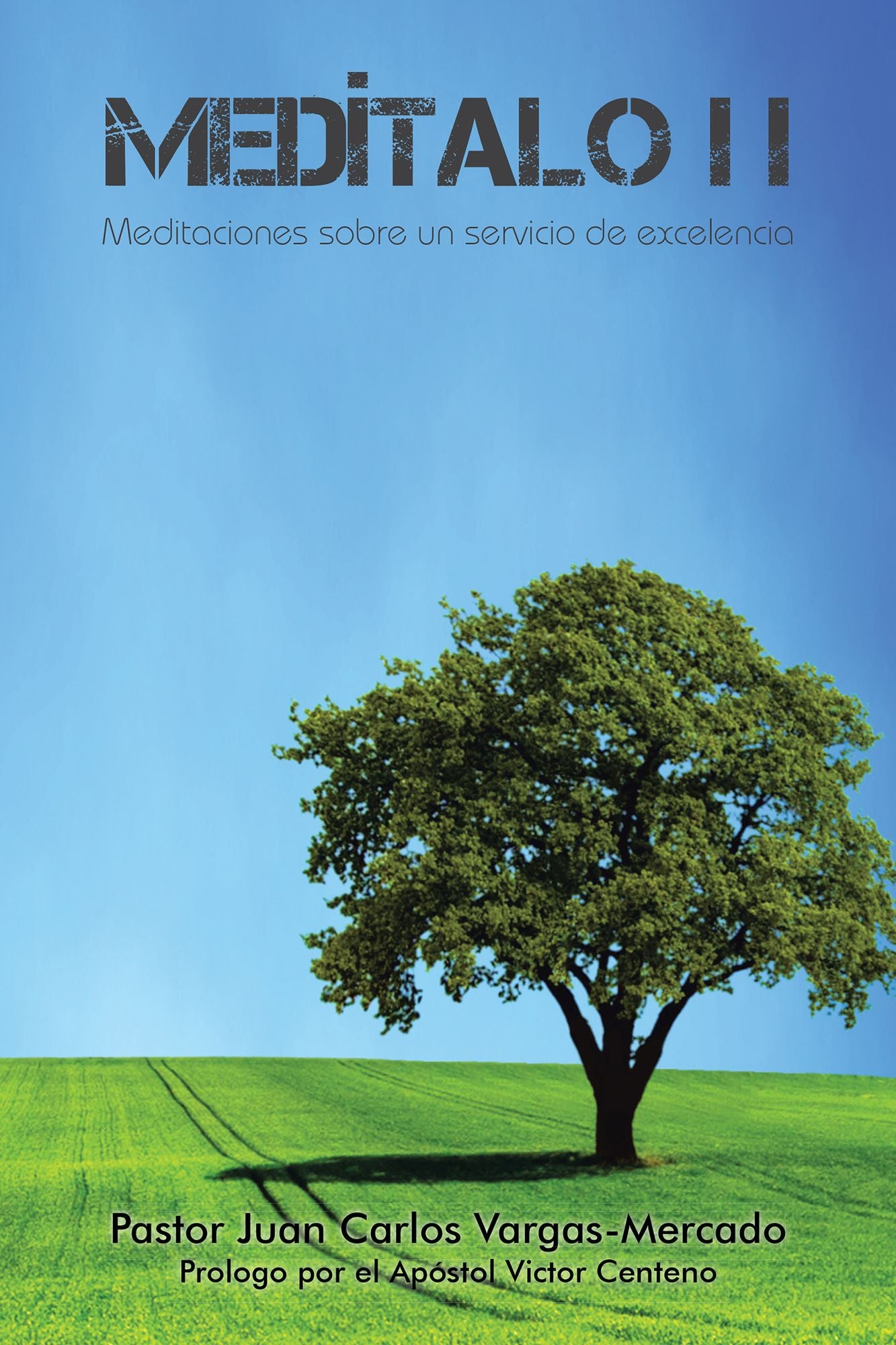 Medítalo: Ii Meditaciones Sobre Un Servicio De Excelencia