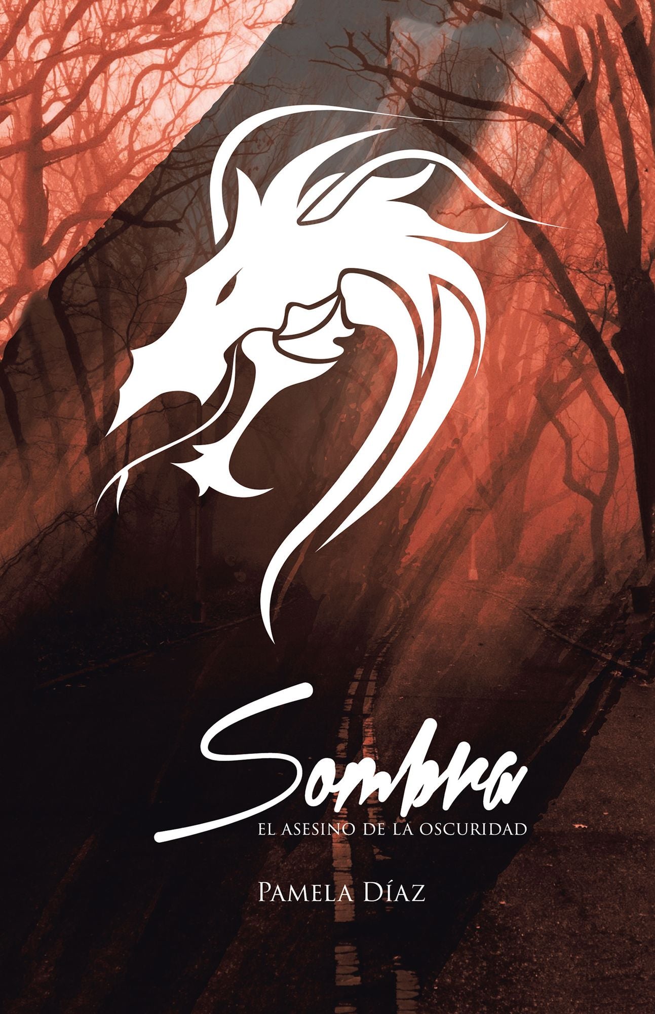 Sombra, El Asesino De La Oscuridad