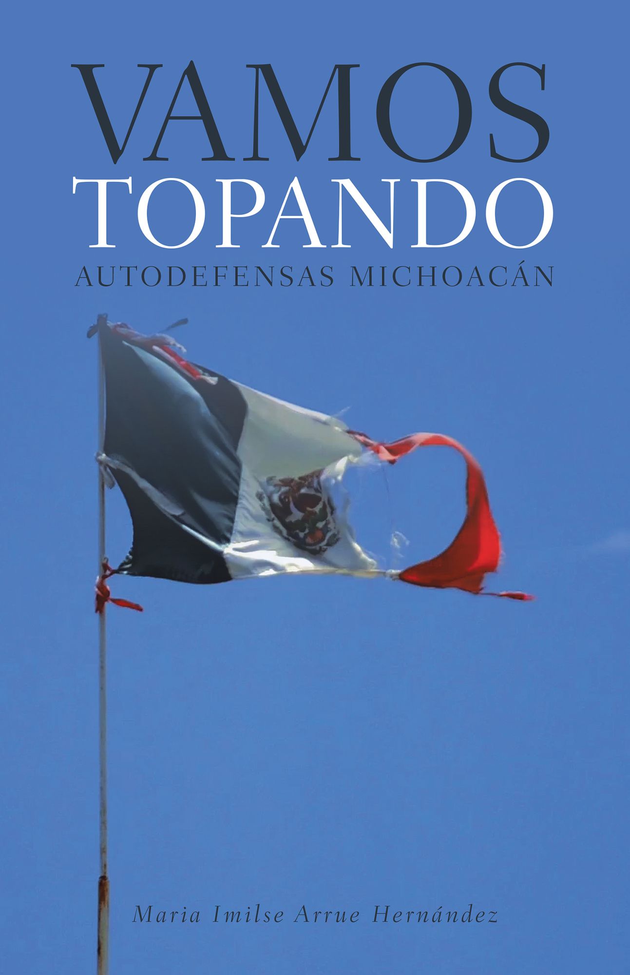 Vamos Topando: Autodefensas Michoacán