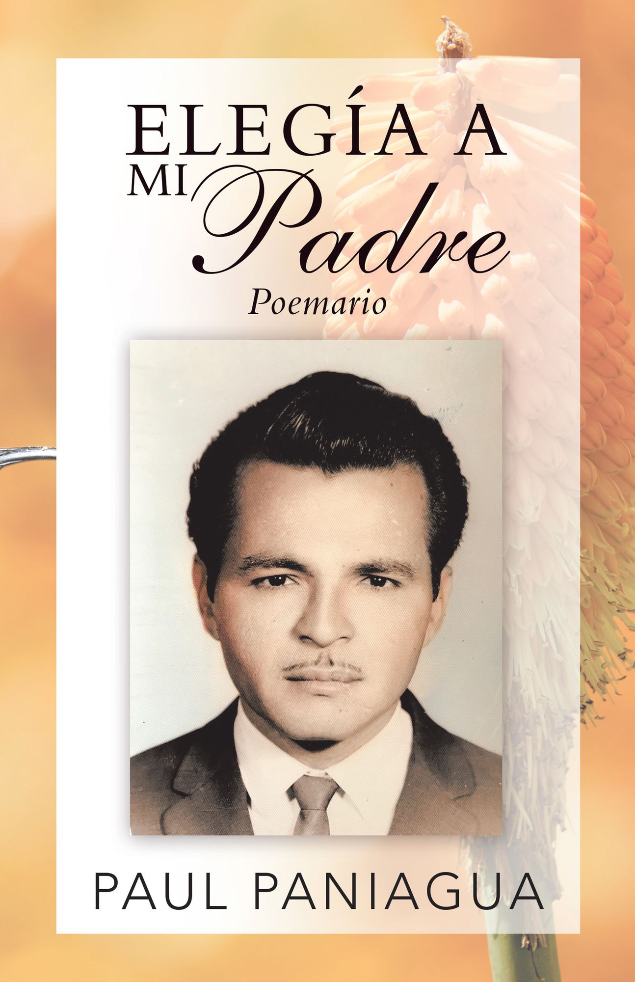 Elegía a Mi Padre: Poemario