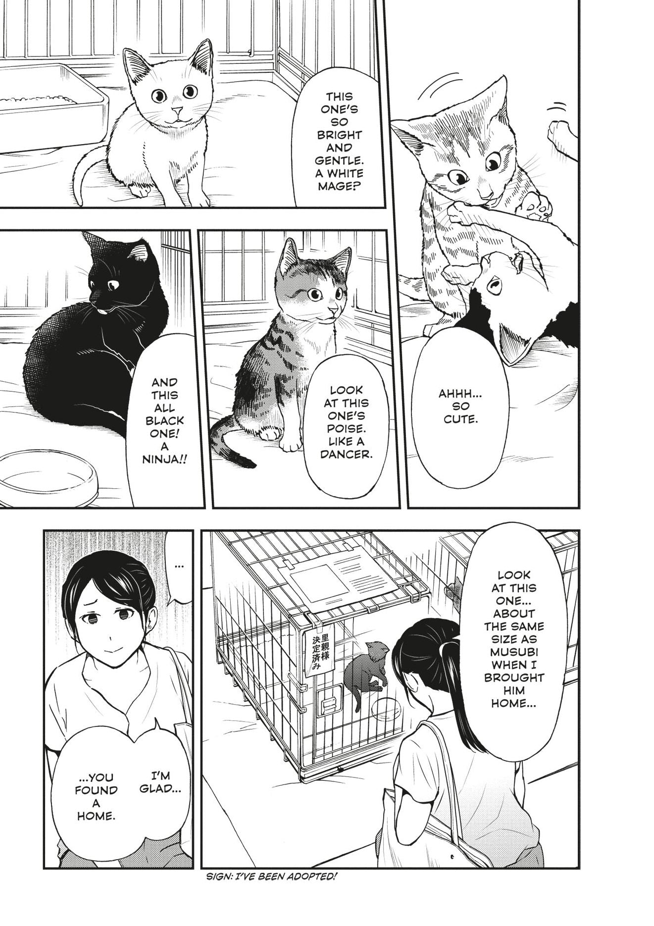 Cat + Gamer Volume 4
