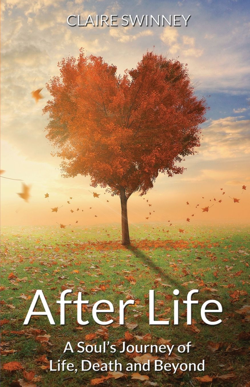 AFTER LIFE: A Soul's Journey of Life, Death and Beyond