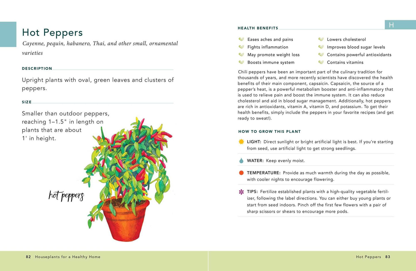 Houseplants for a Healthy Home: 50 Indoor Plants to Help You Breathe Better, Sleep Better, and Feel Better All Year Round