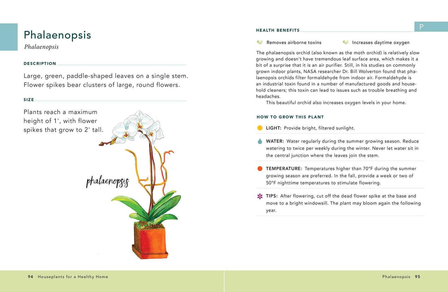 Houseplants for a Healthy Home: 50 Indoor Plants to Help You Breathe Better, Sleep Better, and Feel Better All Year Round