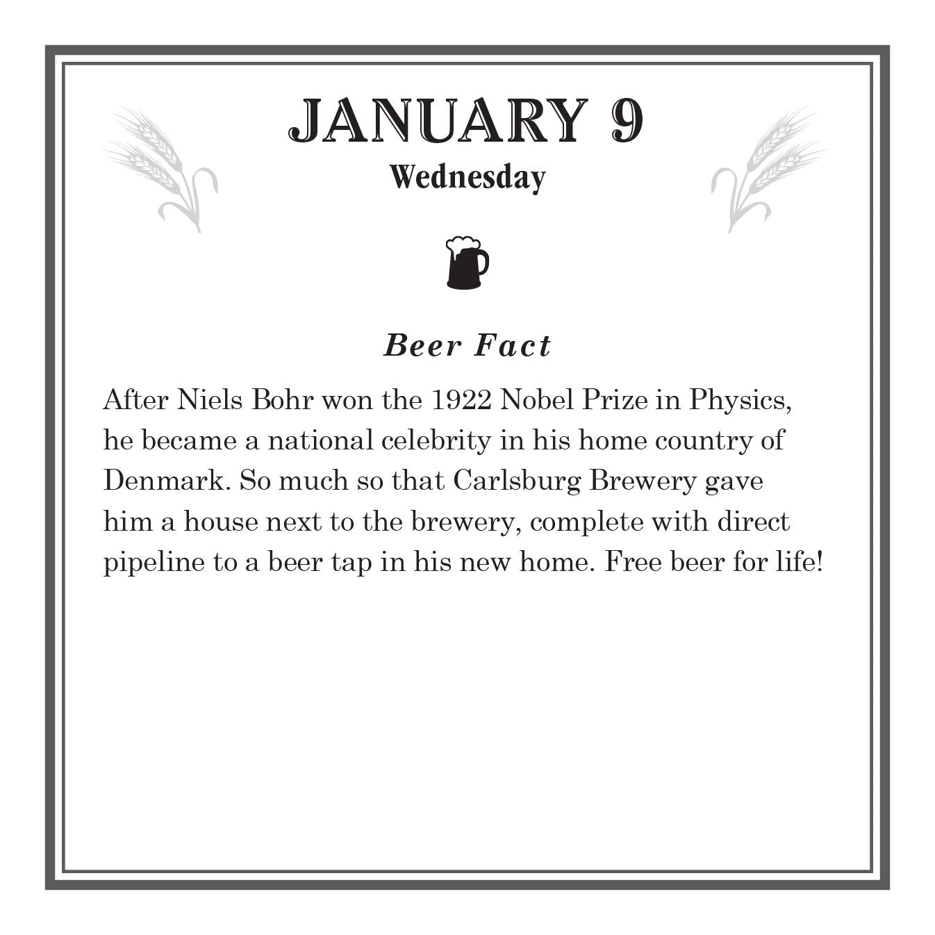 365 Days of Beer 2019 Daily Calendar