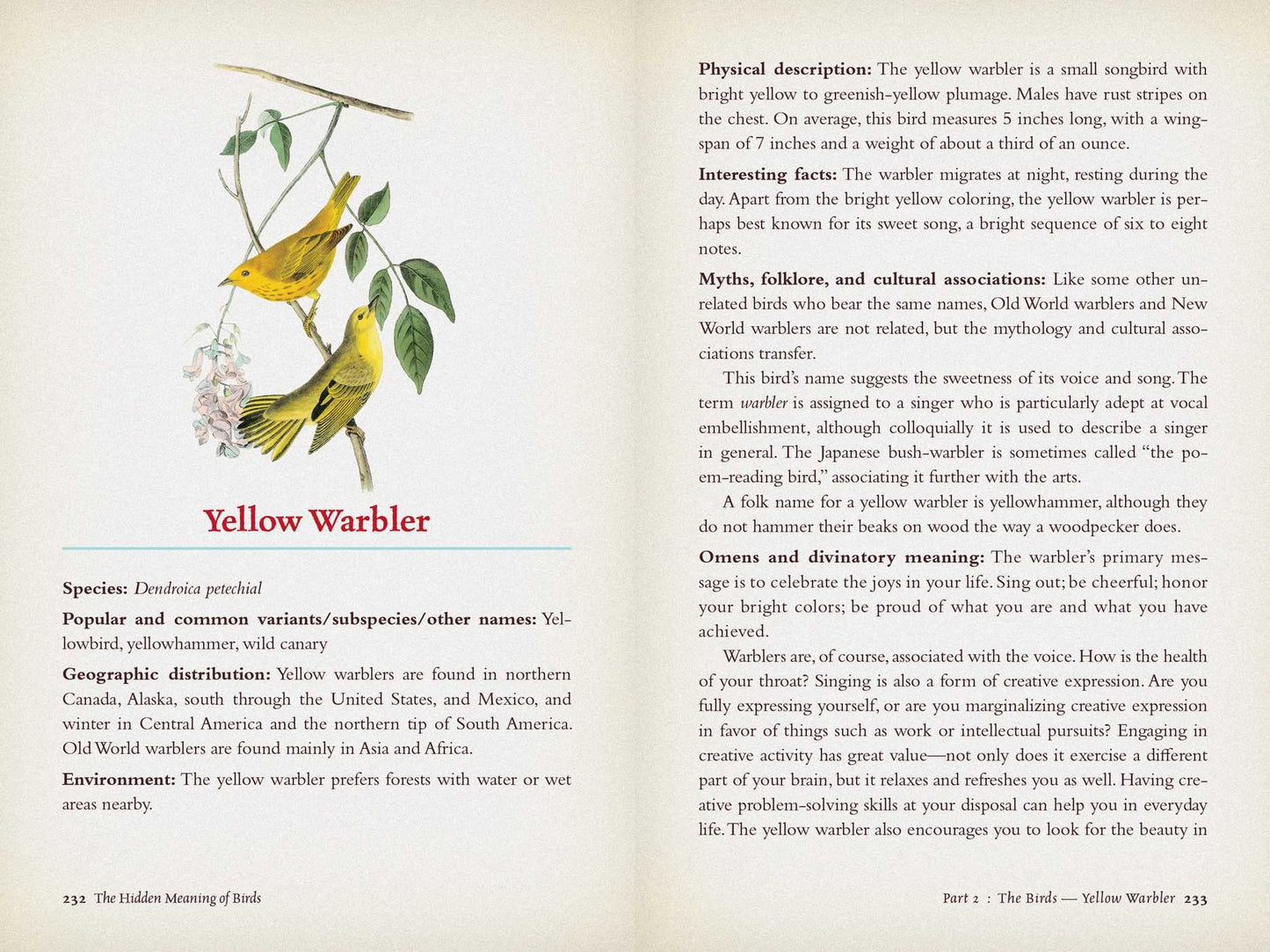 The Hidden Meaning of Birds--A Spiritual Field Guide: Explore the Symbology and Significance of These Divine Winged Messengers