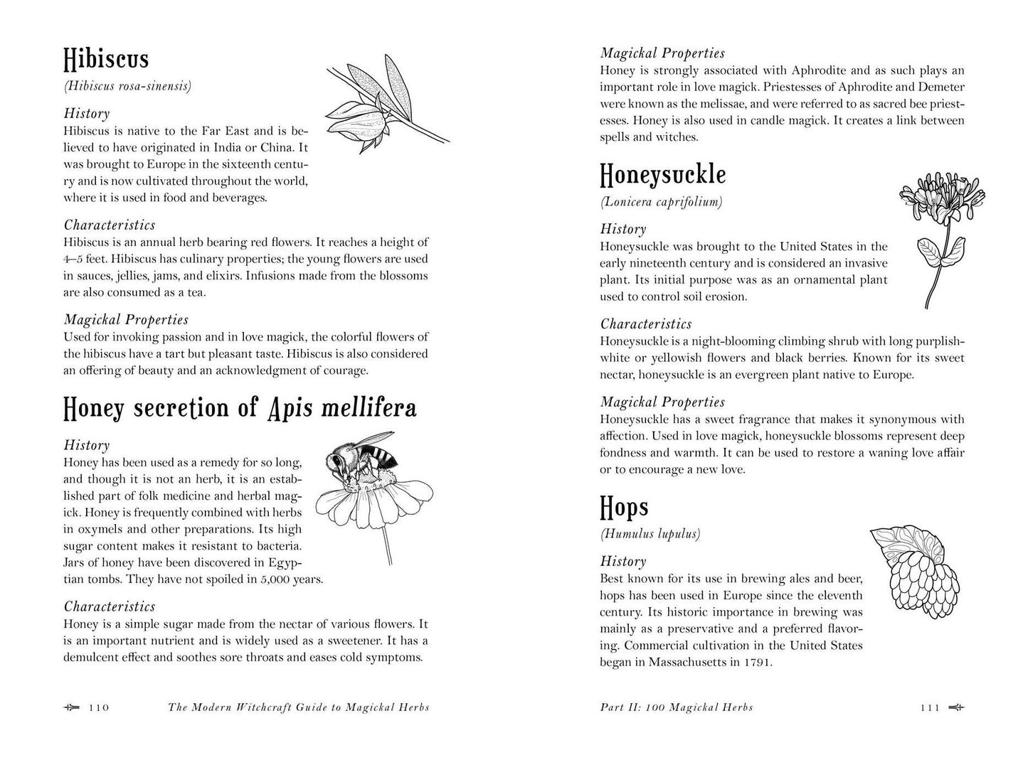 The Modern Witchcraft Guide to Magickal Herbs: Your Complete Guide to the Hidden Powers of Herbs