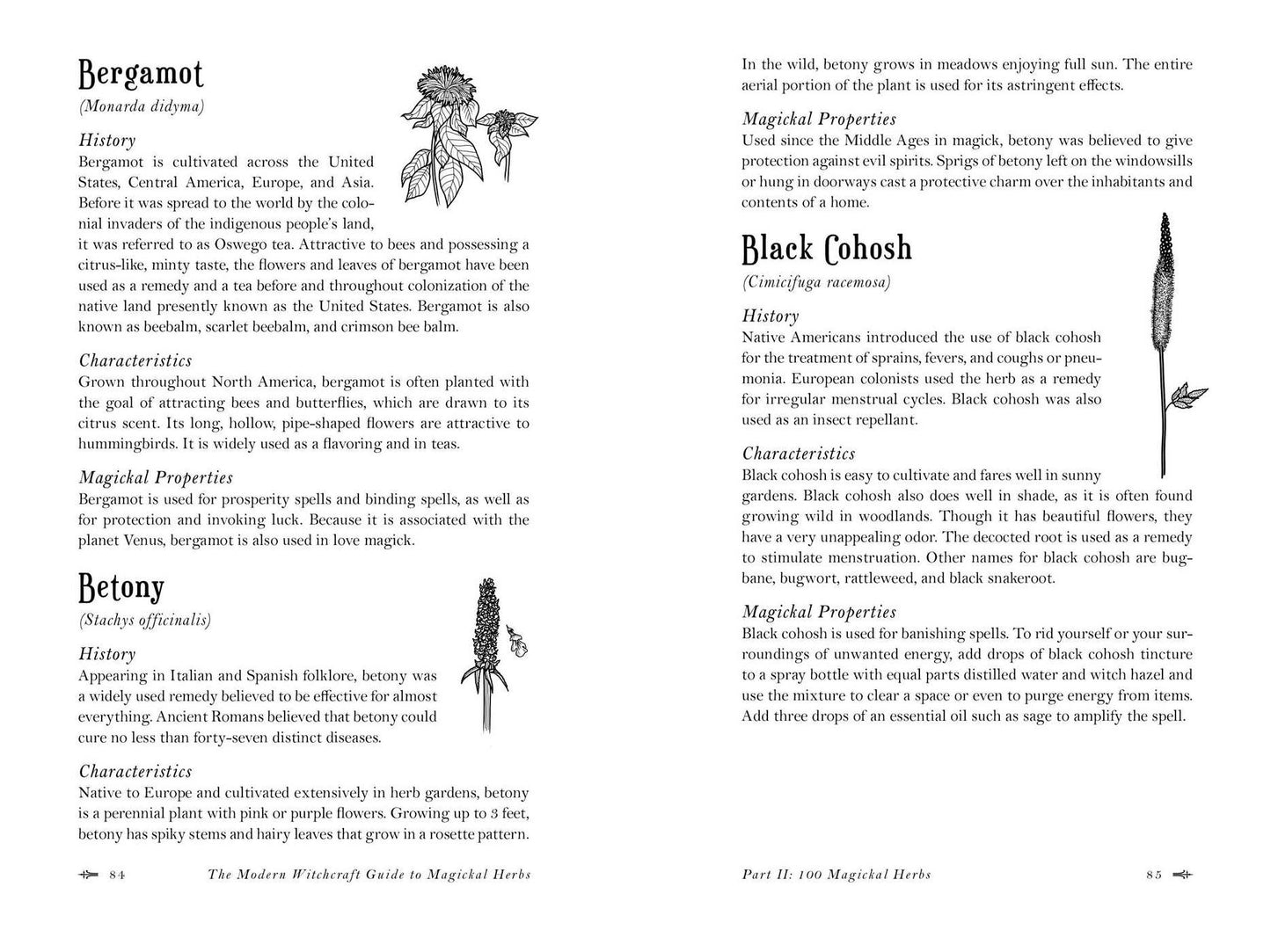 The Modern Witchcraft Guide to Magickal Herbs: Your Complete Guide to the Hidden Powers of Herbs