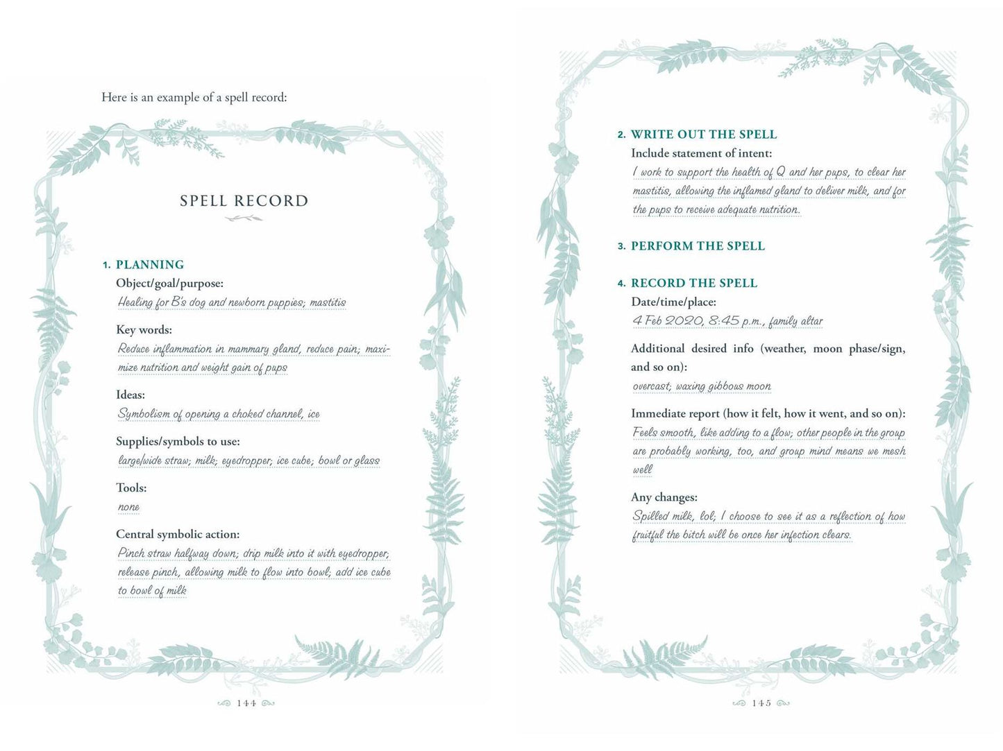 The Green Witch's Grimoire: Your Complete Guide to Creating Your Own Book of Natural Magic