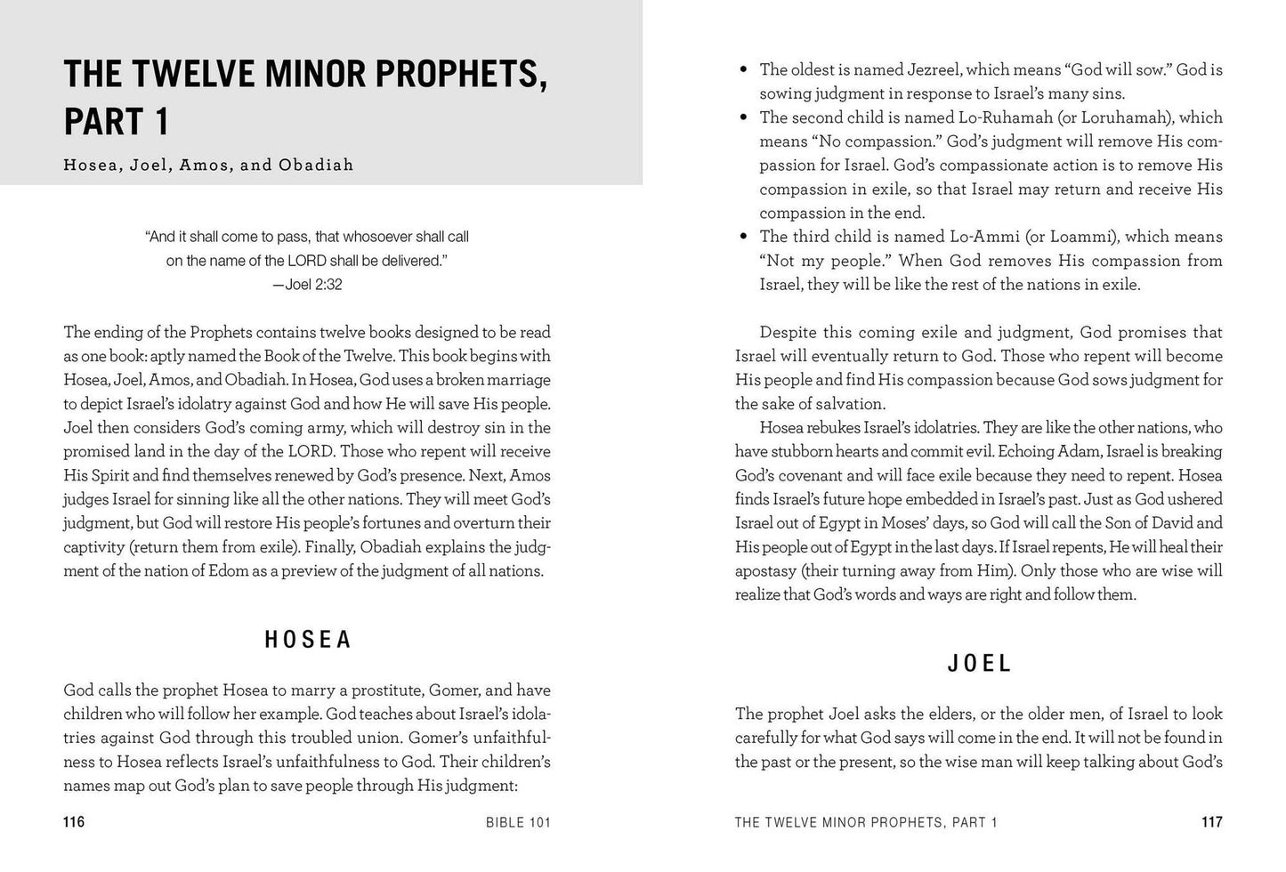 Bible 101: From Genesis and Psalms to the Gospels and Revelation, Your Guide to the Old and New Testaments