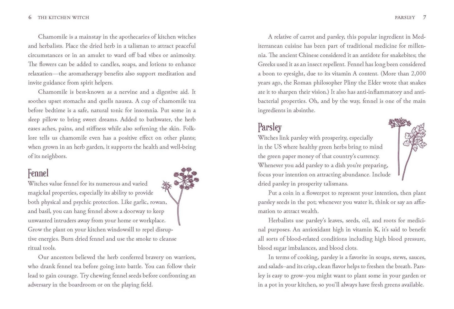 The Kitchen Witch: Your Complete Guide to Creating a Magical Kitchen with Natural Ingredients, Sacred Rituals, and Spellwork