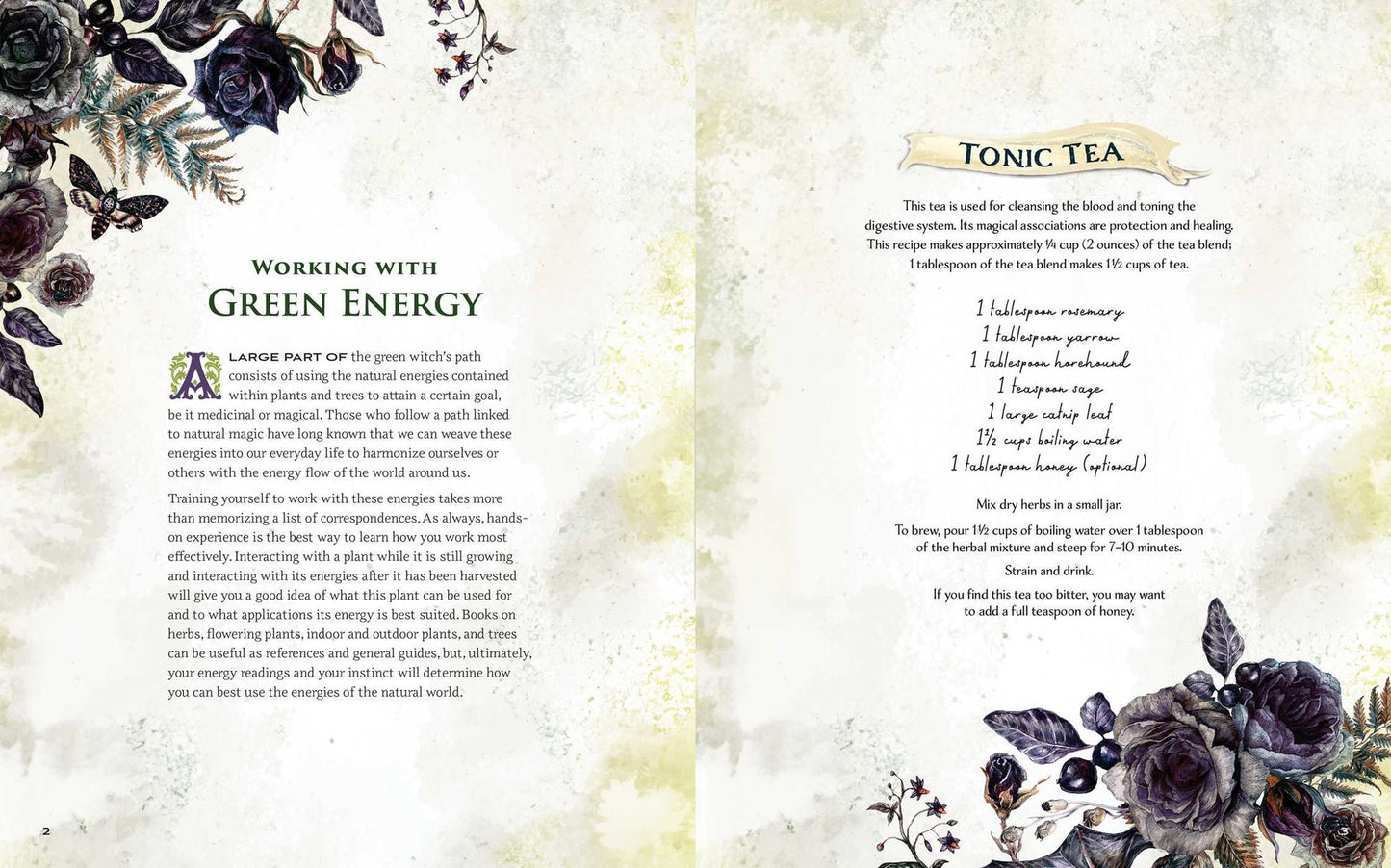 The Green Witch Illustrated: An Enchanting Immersion Into the Magic of Natural Witchcraft