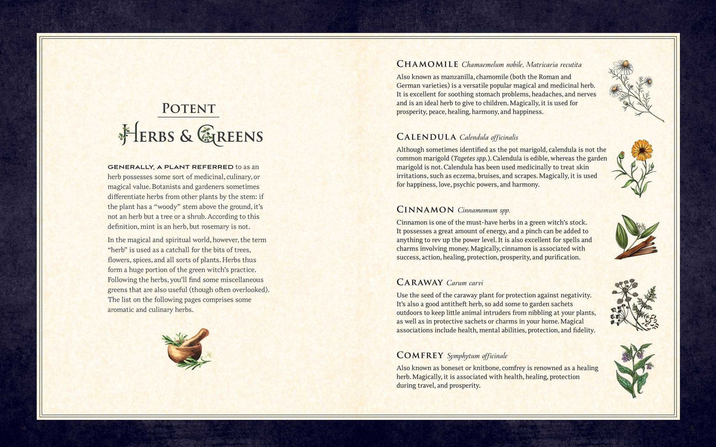 The Green Witch Illustrated: An Enchanting Immersion Into the Magic of Natural Witchcraft