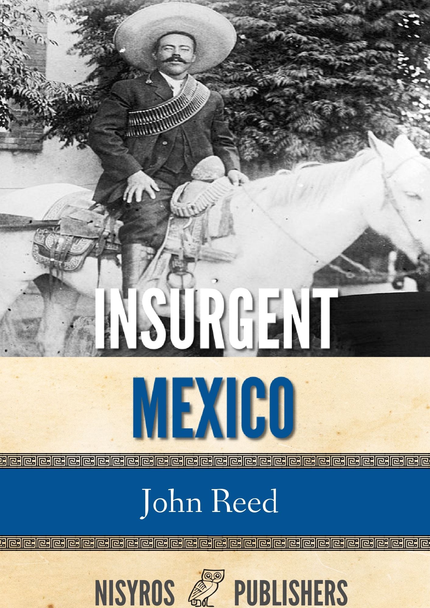 Insurgent Mexico