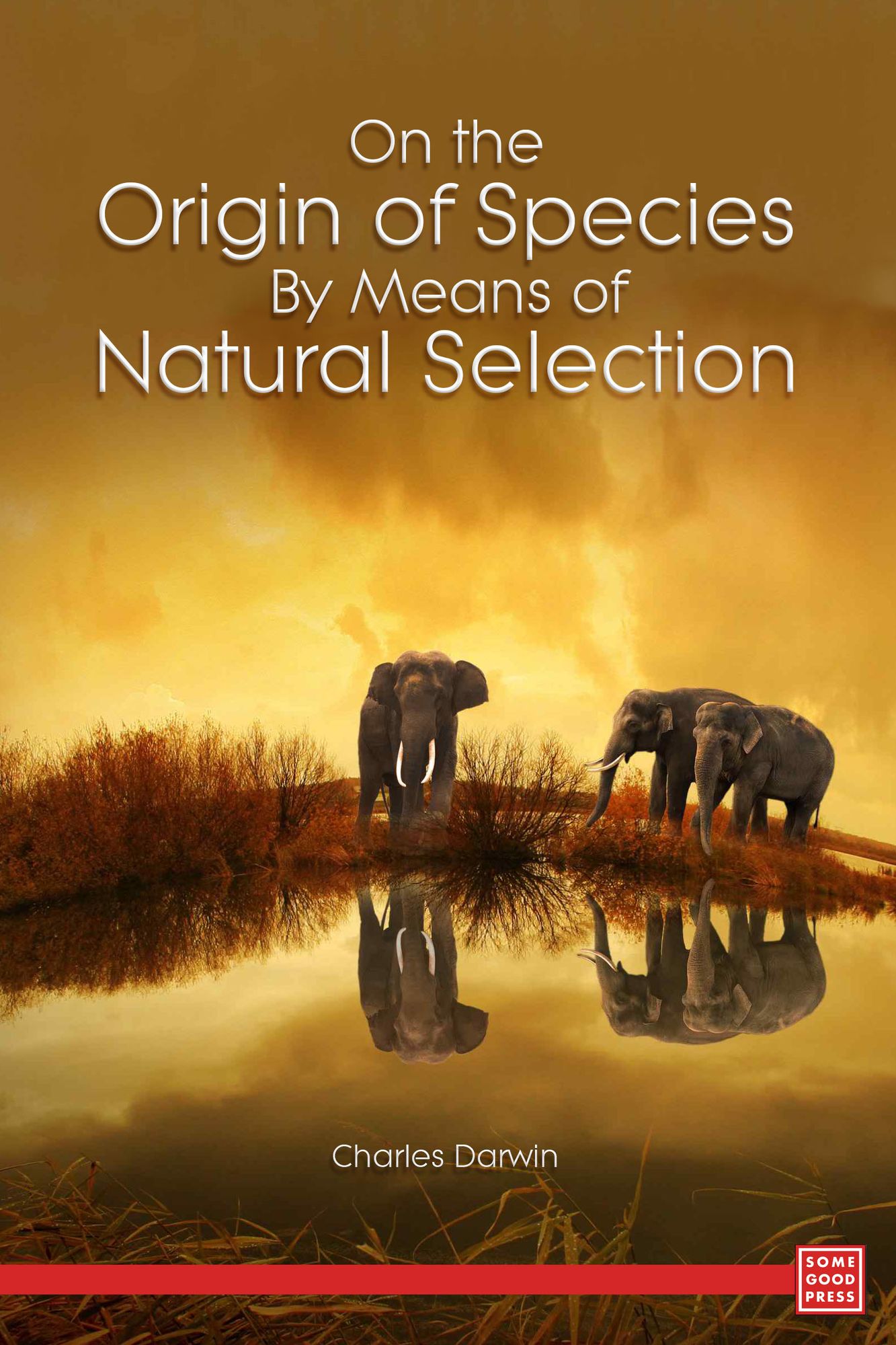 On the Origin of Species By Means of Natural Selection Or, the Preservation of Favoured Races in the Struggle for Life