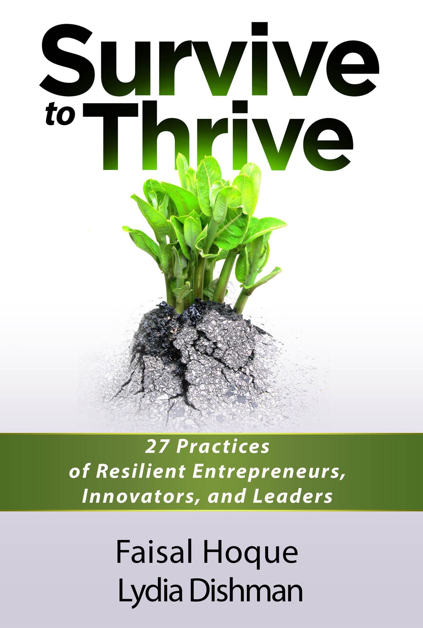 Survive to Thrive: 27 Practices of Resilient Entrepreneurs, Innovators, And Leaders