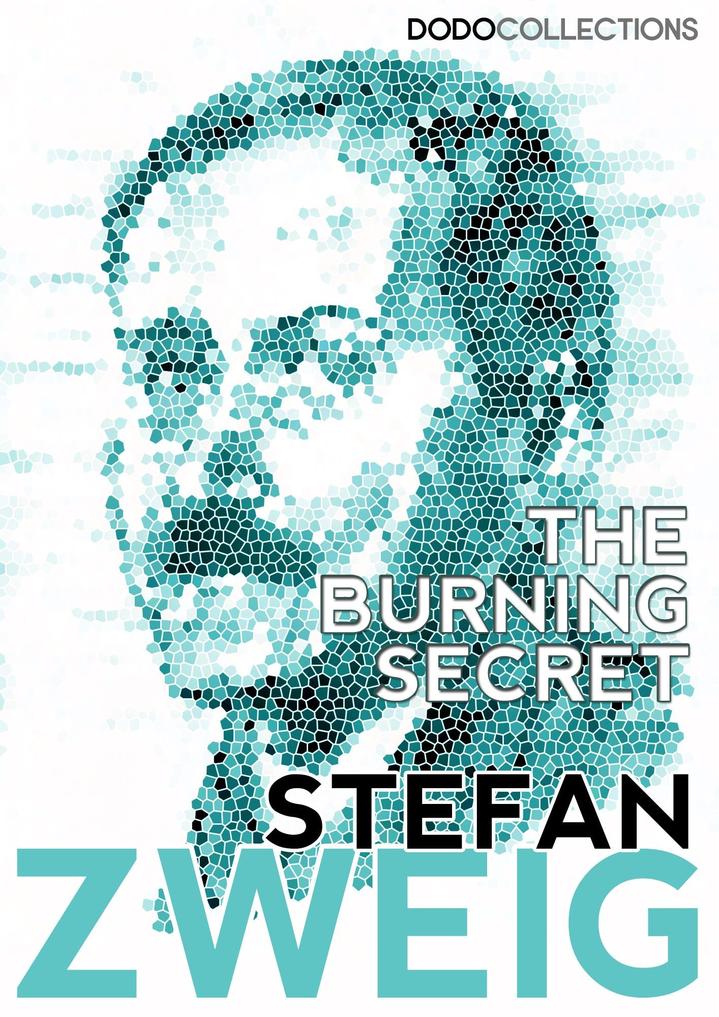 The Burning Secret