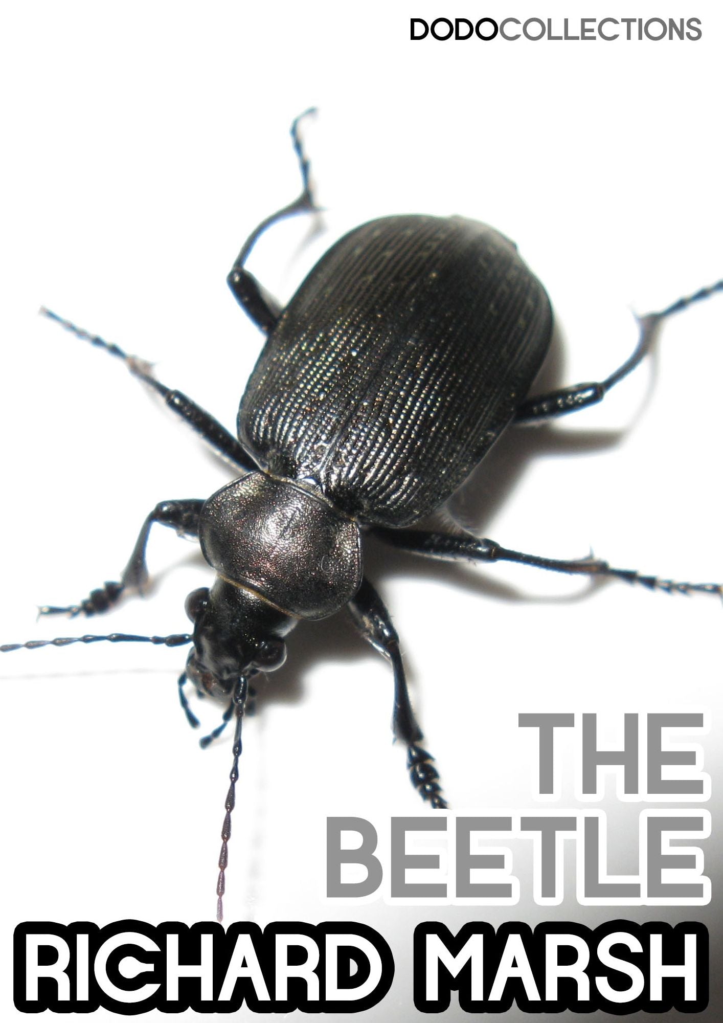 The Beetle