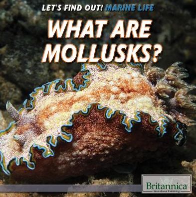 What Are Mollusks?