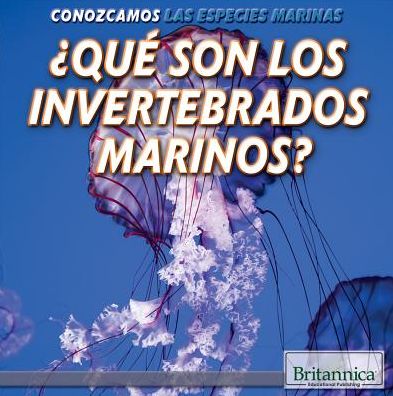 Que Son Los Invertebrados Marinos? (What Are Sea Invertebrates?)