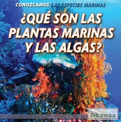 Que Son Las Plantas Marinas y Las Algas? (What Are Sea Plants and Algae?)