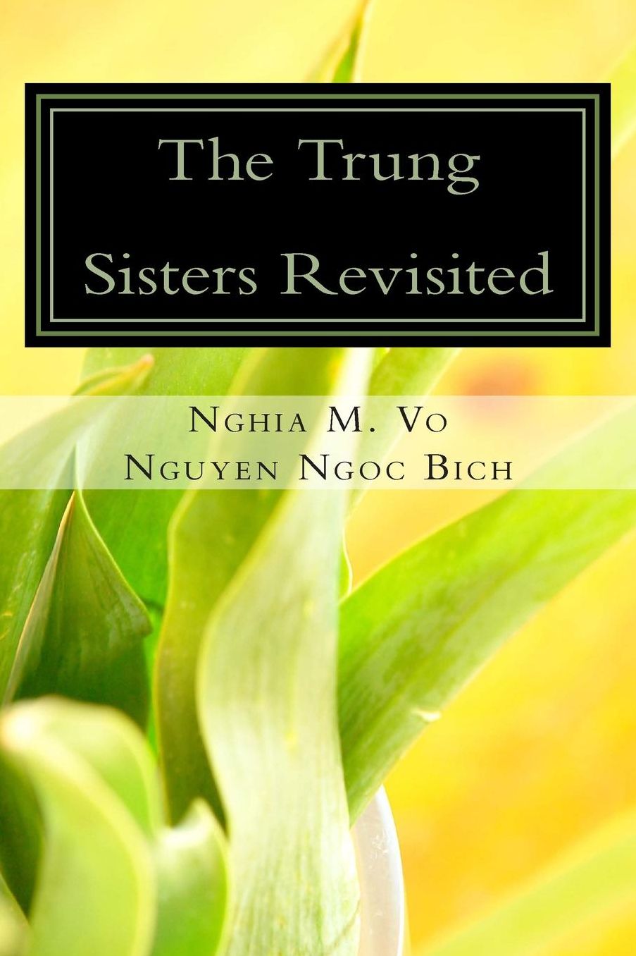 The Trung Sisters Revisited