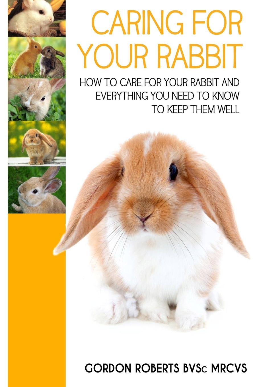 Caring for Your Rabbit : How to Care for Your Rabbit and Everything You Need to Know to Keep Them Well