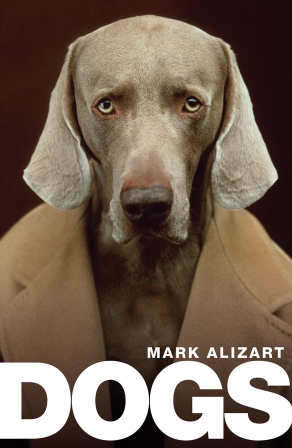 Dogs : A Philosophical Guide to Our Best Friends