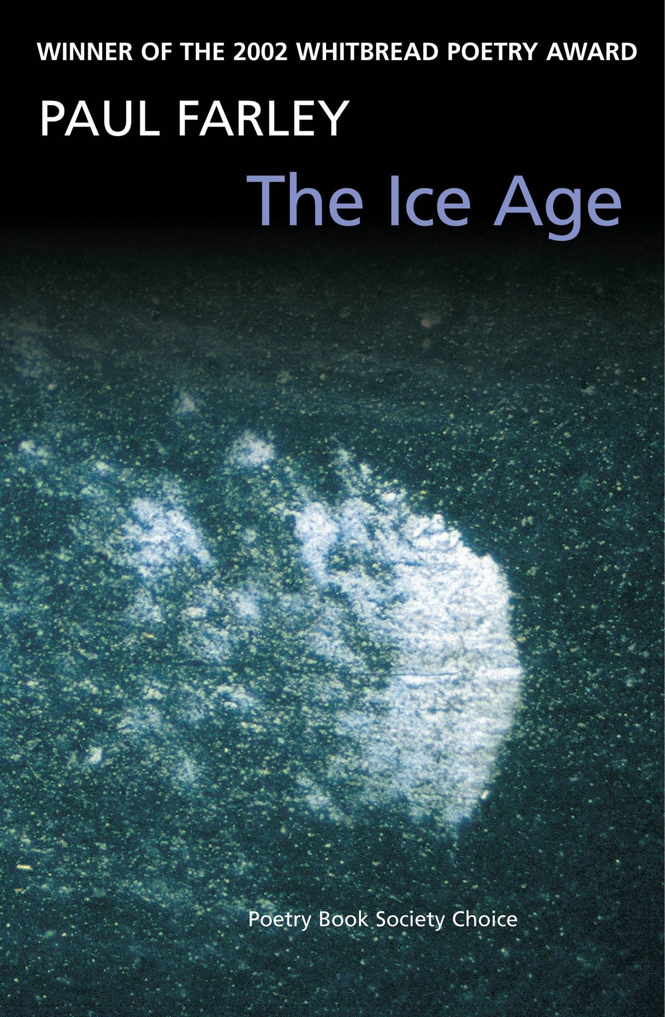The Ice Age: poems