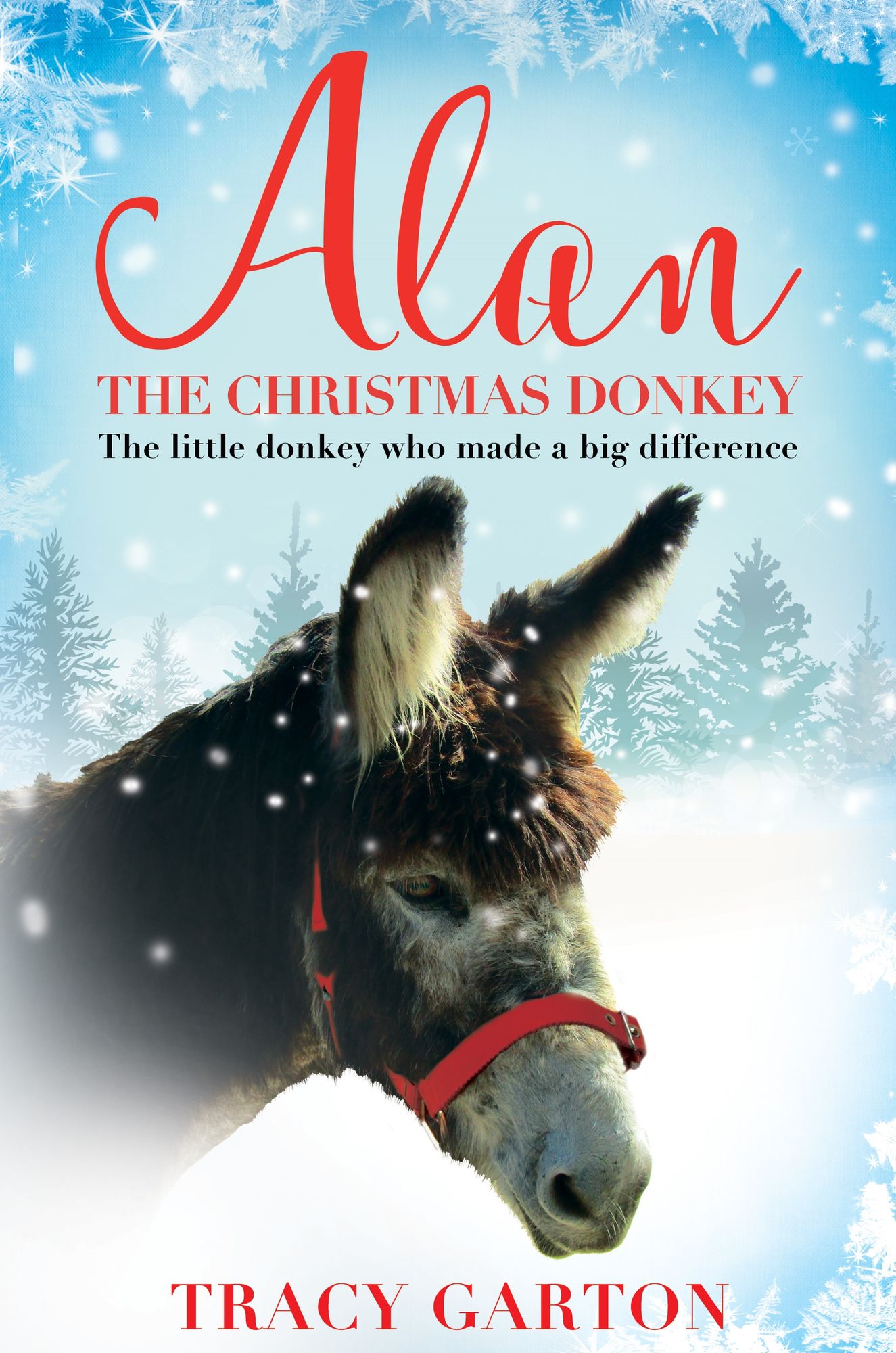 Alan The Christmas Donkey: The little donkey who made a big difference