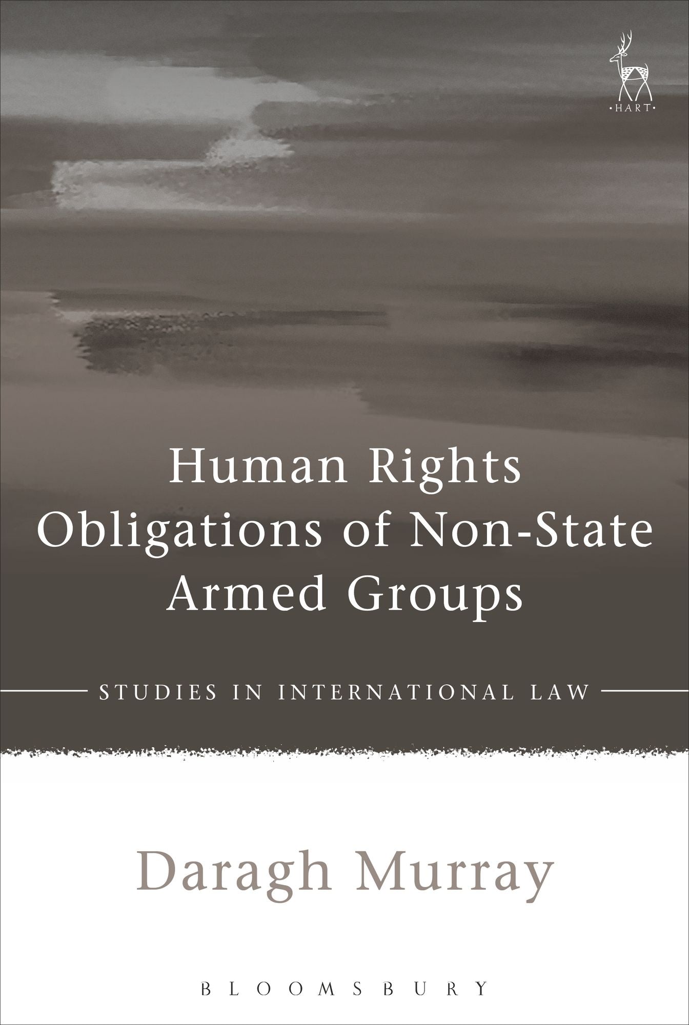 Human Rights Obligations of Non-State Armed Groups