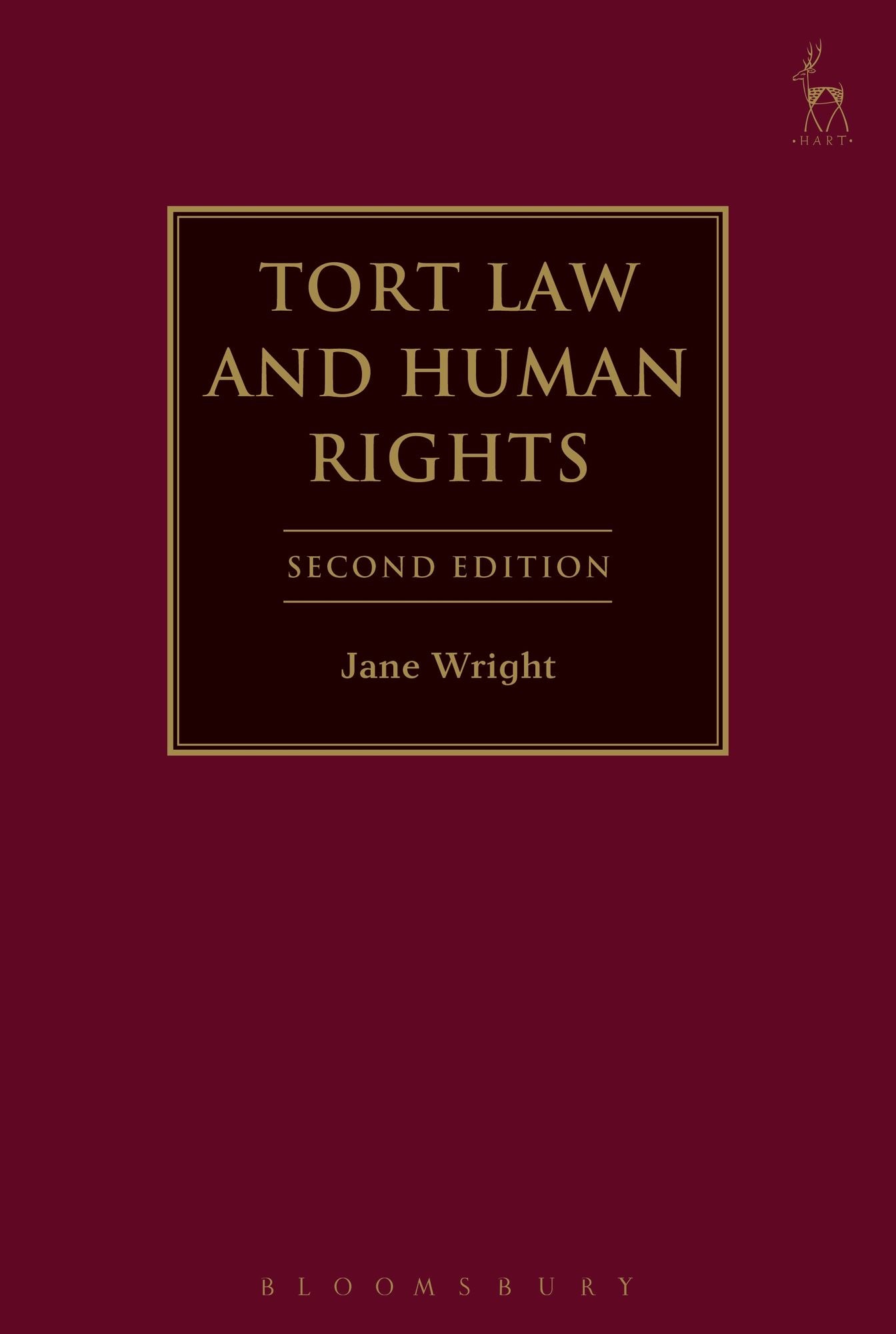 Tort Law and Human Rights