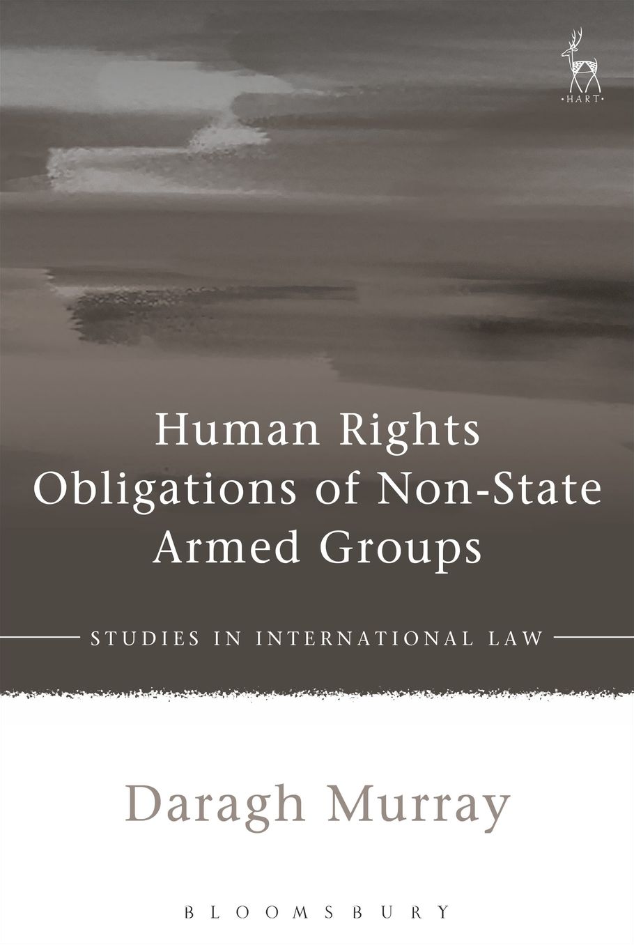 Human Rights Obligations of Non-State Armed Groups