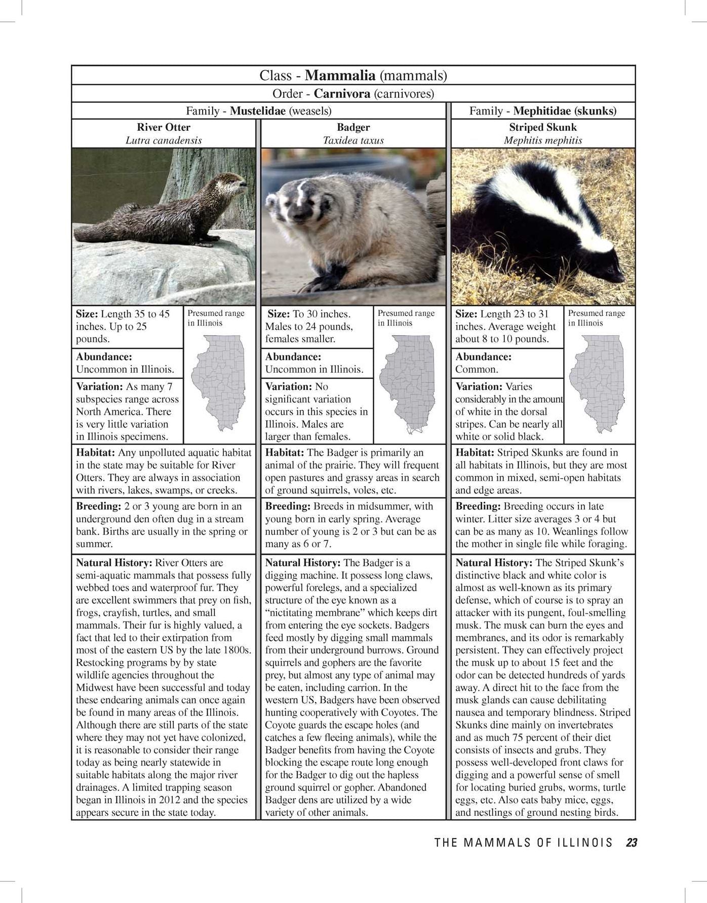 Illinois Wildlife Encyclopedia : An Illustrated Guide to Birds, Fish, Mammals, Reptiles, and Amphibians