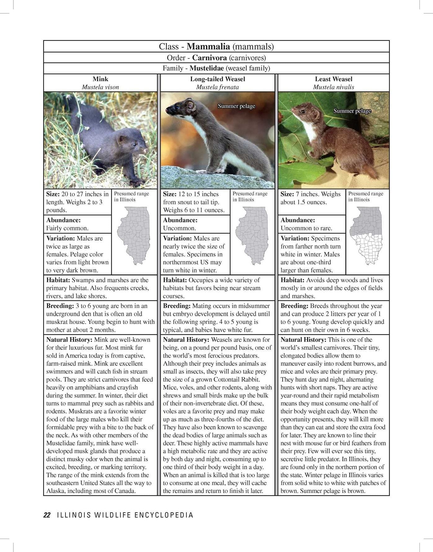 Illinois Wildlife Encyclopedia : An Illustrated Guide to Birds, Fish, Mammals, Reptiles, and Amphibians