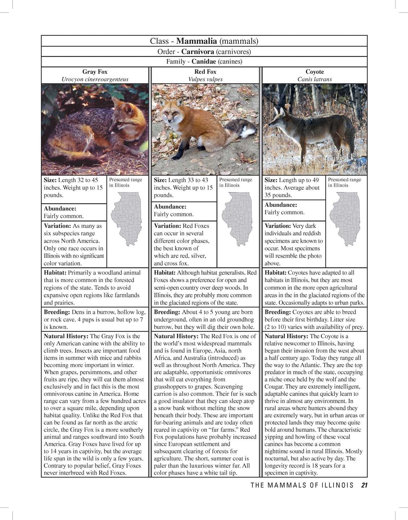 Illinois Wildlife Encyclopedia : An Illustrated Guide to Birds, Fish, Mammals, Reptiles, and Amphibians