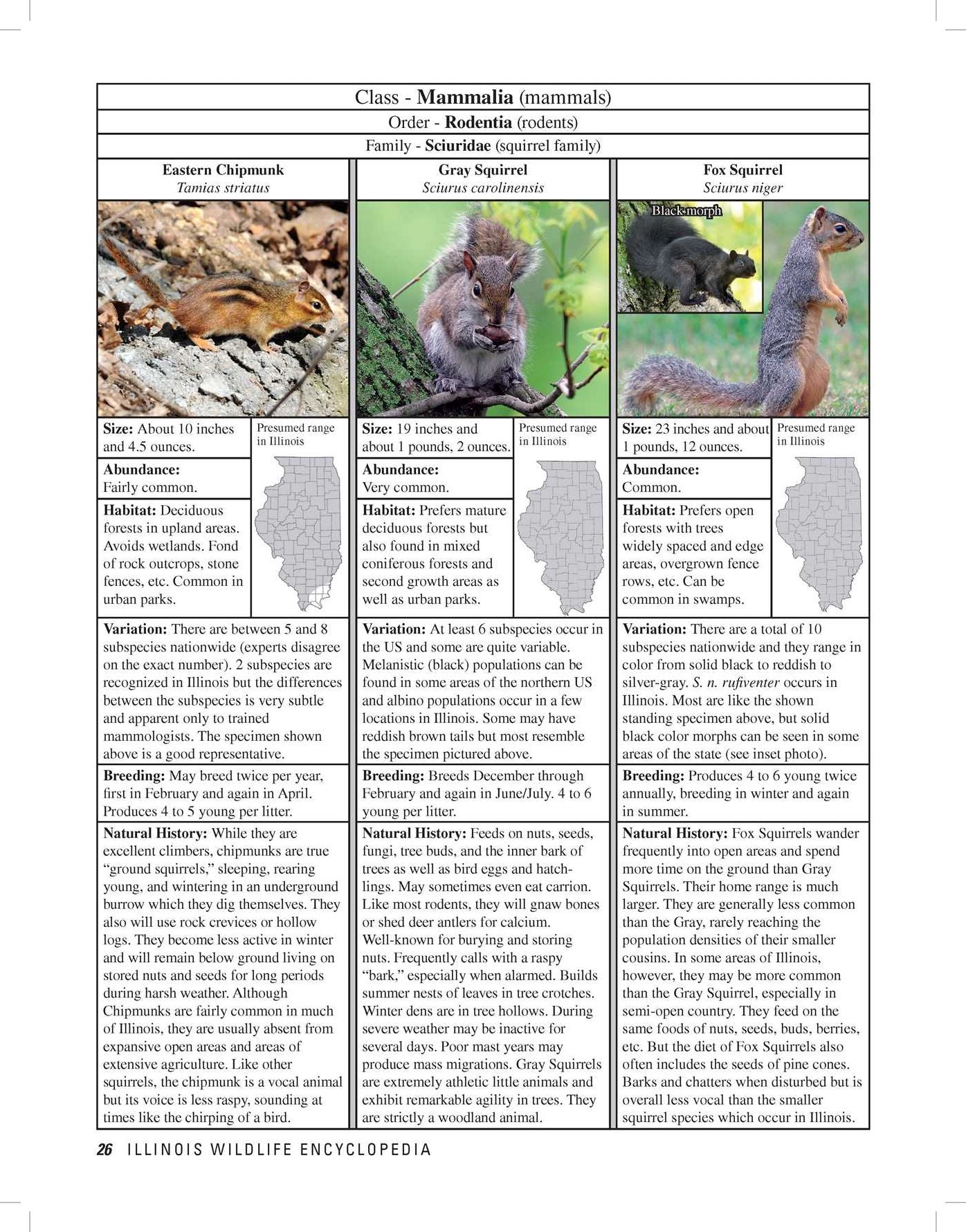Illinois Wildlife Encyclopedia : An Illustrated Guide to Birds, Fish, Mammals, Reptiles, and Amphibians