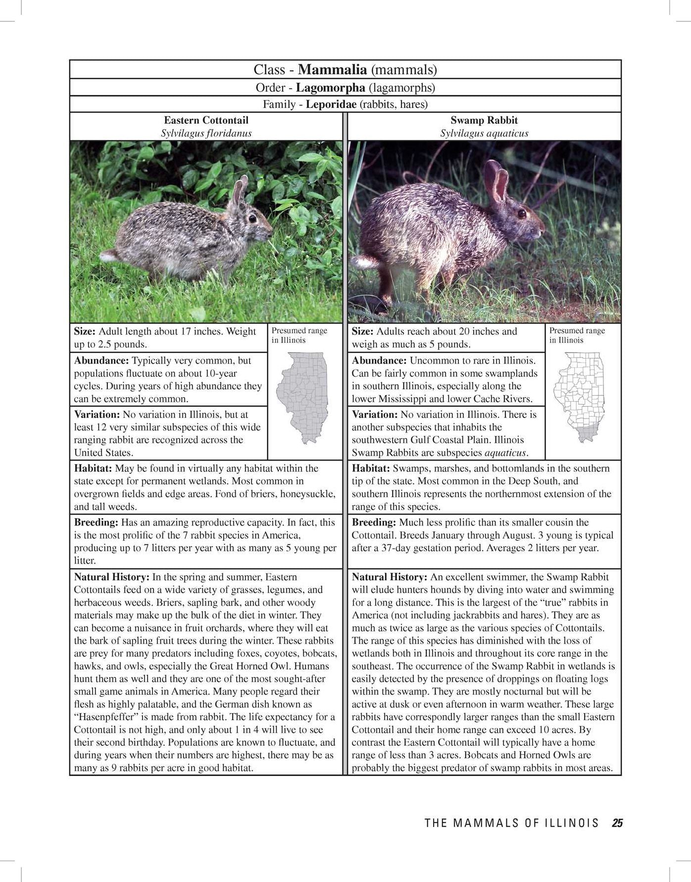 Illinois Wildlife Encyclopedia : An Illustrated Guide to Birds, Fish, Mammals, Reptiles, and Amphibians