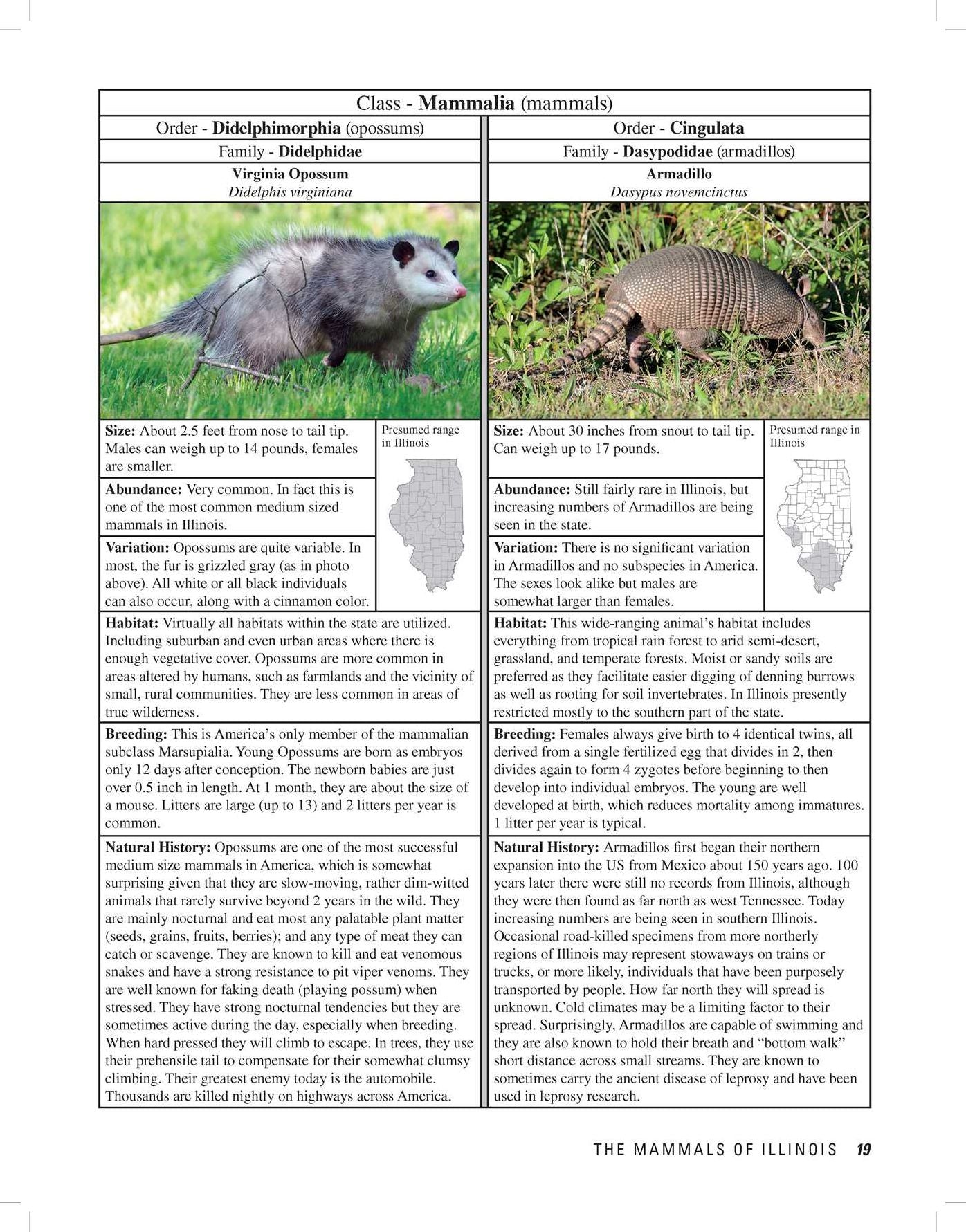 Illinois Wildlife Encyclopedia : An Illustrated Guide to Birds, Fish, Mammals, Reptiles, and Amphibians