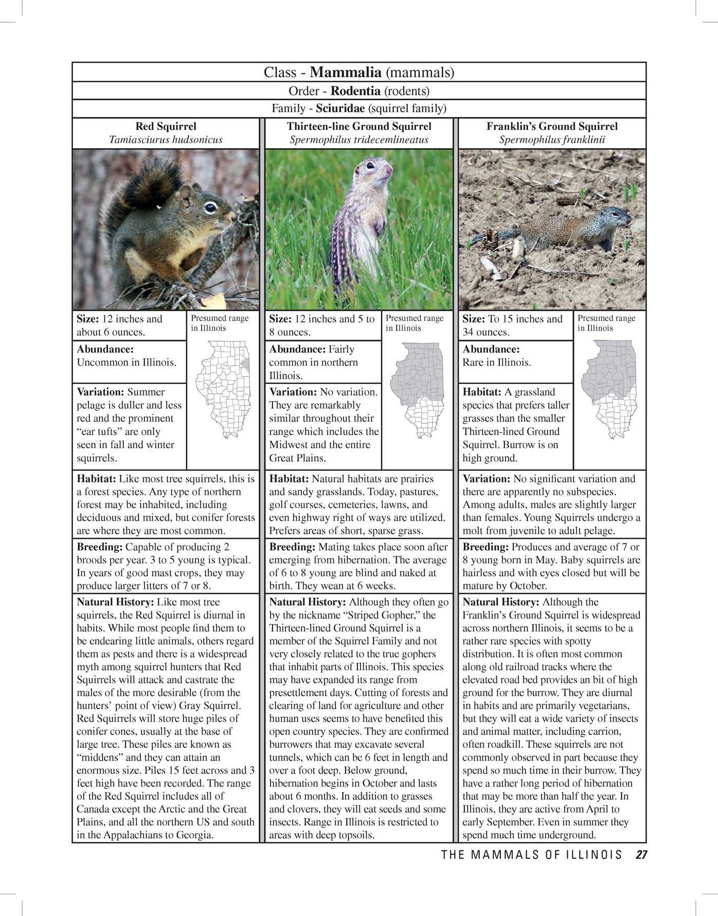 Illinois Wildlife Encyclopedia : An Illustrated Guide to Birds, Fish, Mammals, Reptiles, and Amphibians