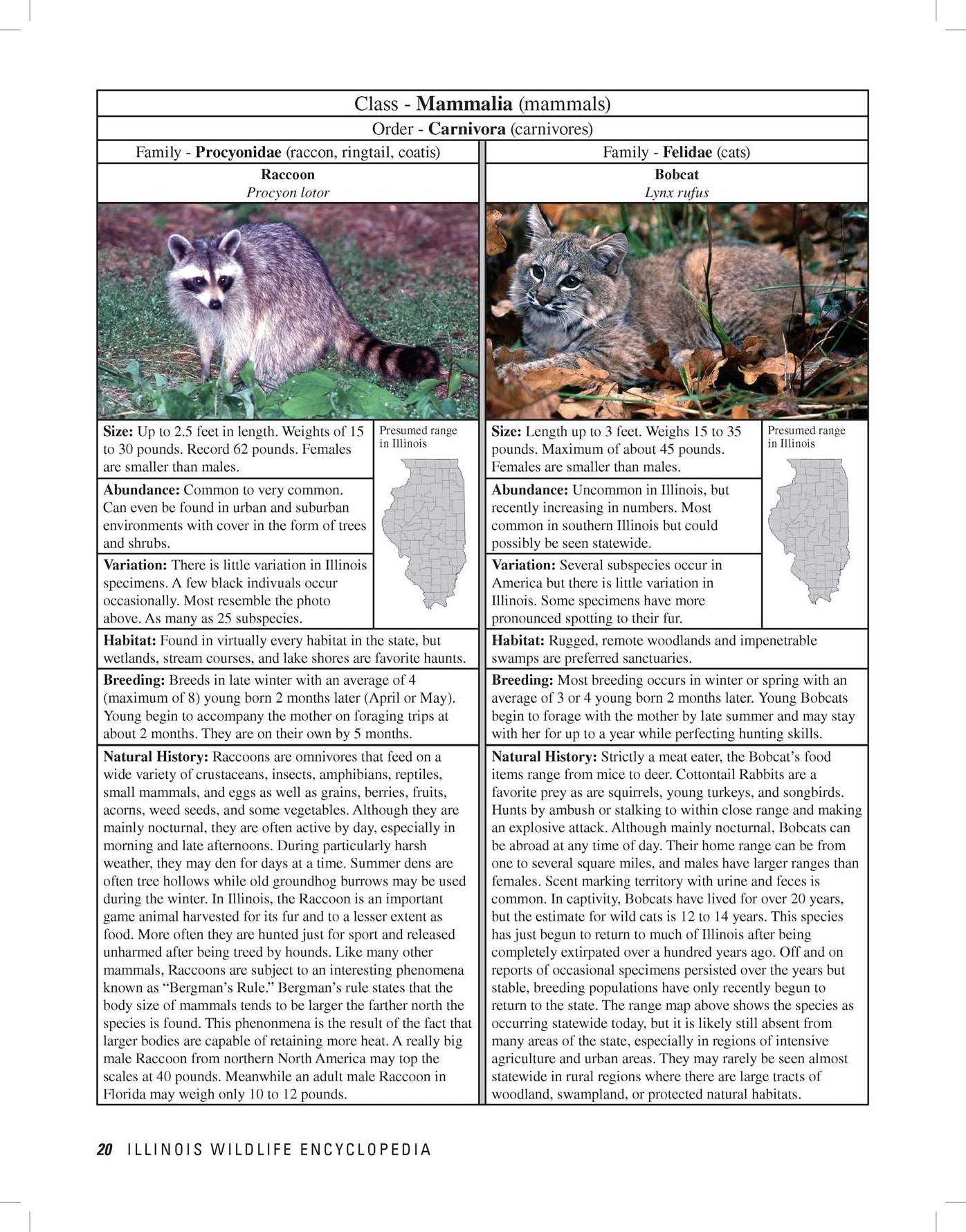 Illinois Wildlife Encyclopedia : An Illustrated Guide to Birds, Fish, Mammals, Reptiles, and Amphibians