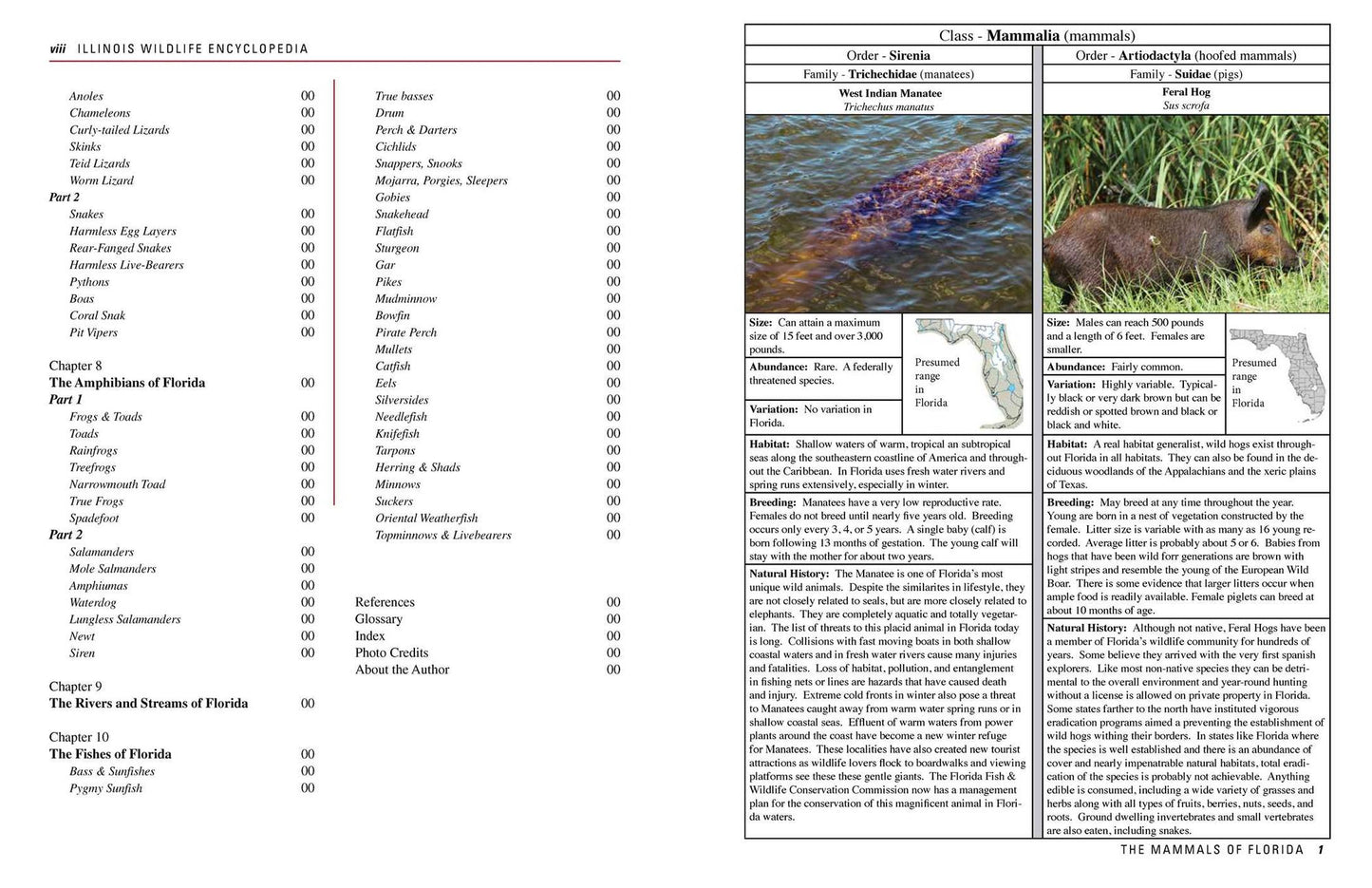 The Florida Wildlife Encyclopedia: An Illustrated Guide to Birds, Fish, Mammals, Reptiles, and Amphibians
