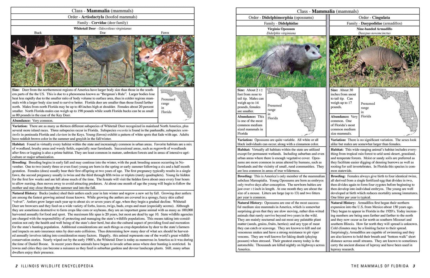 The Florida Wildlife Encyclopedia: An Illustrated Guide to Birds, Fish, Mammals, Reptiles, and Amphibians