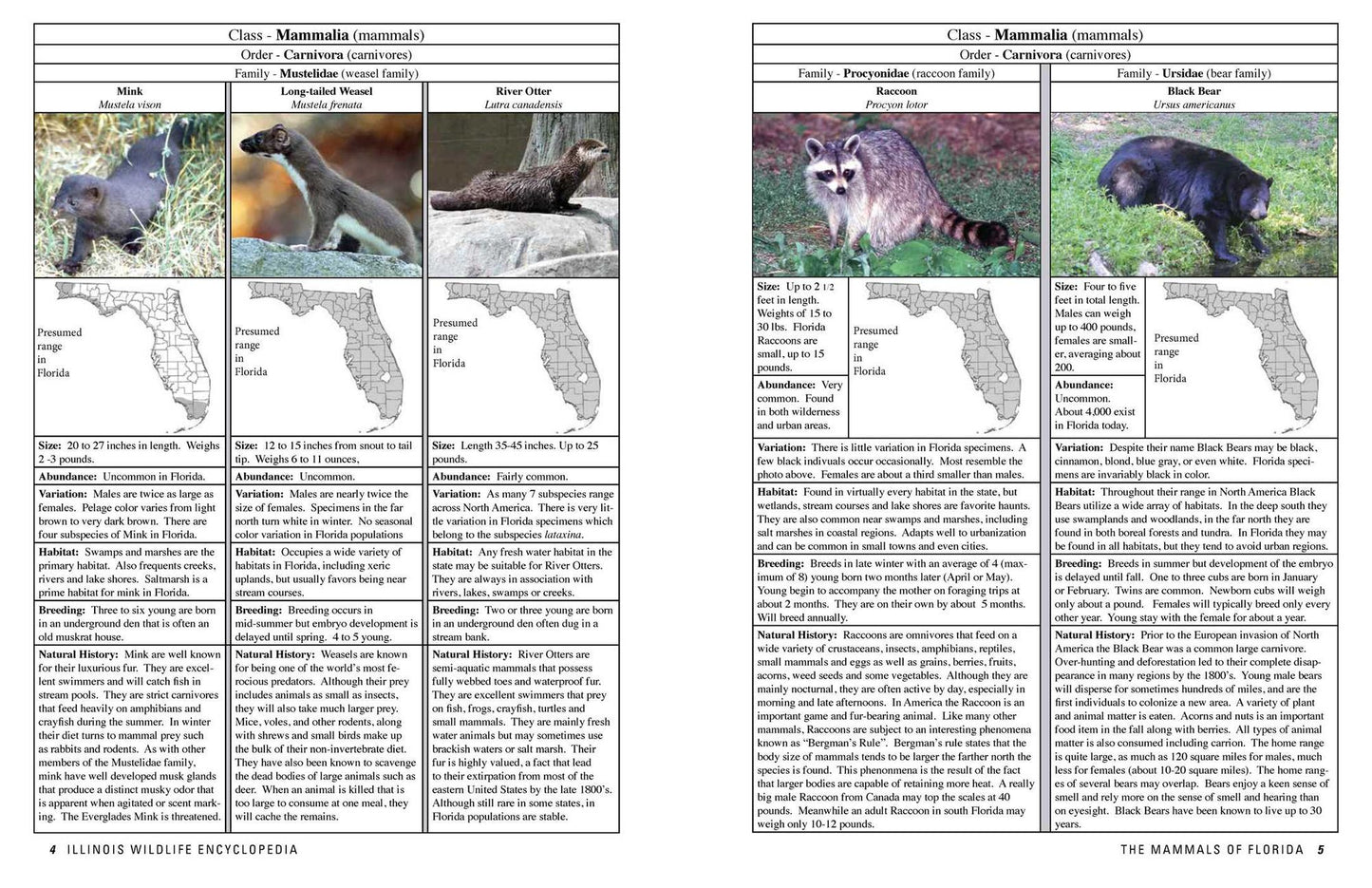 The Florida Wildlife Encyclopedia: An Illustrated Guide to Birds, Fish, Mammals, Reptiles, and Amphibians
