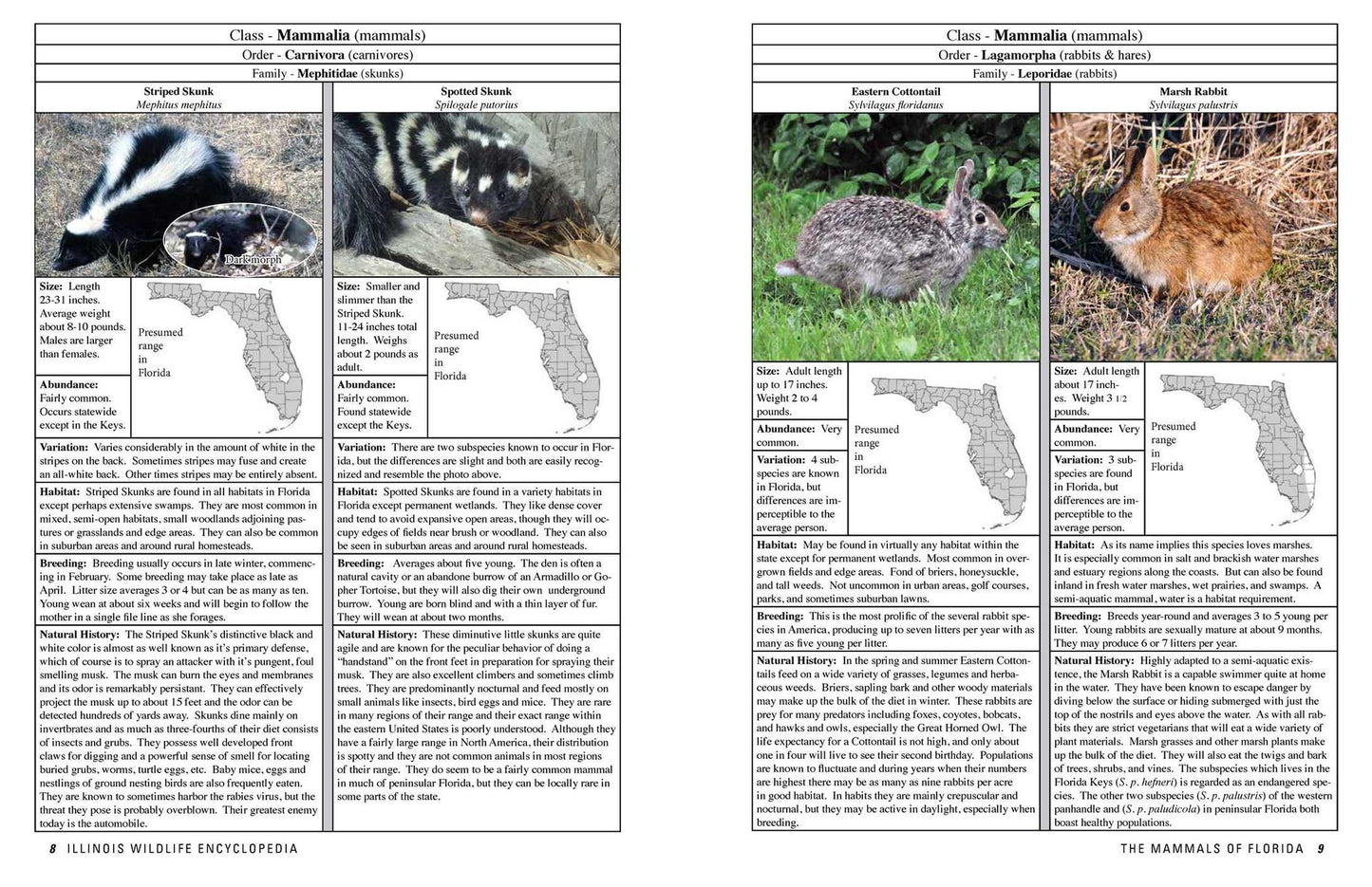 The Florida Wildlife Encyclopedia: An Illustrated Guide to Birds, Fish, Mammals, Reptiles, and Amphibians