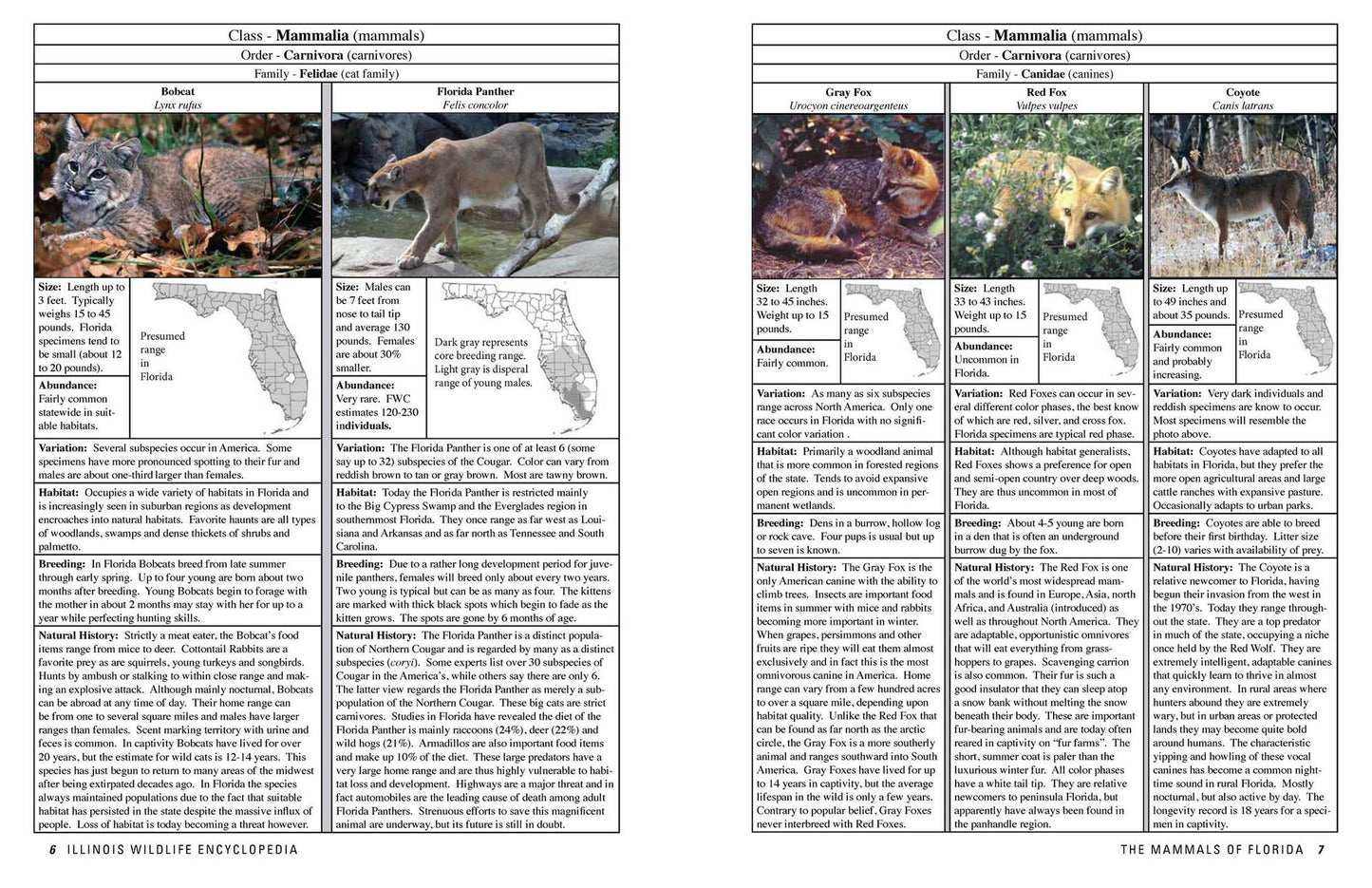 The Florida Wildlife Encyclopedia: An Illustrated Guide to Birds, Fish, Mammals, Reptiles, and Amphibians