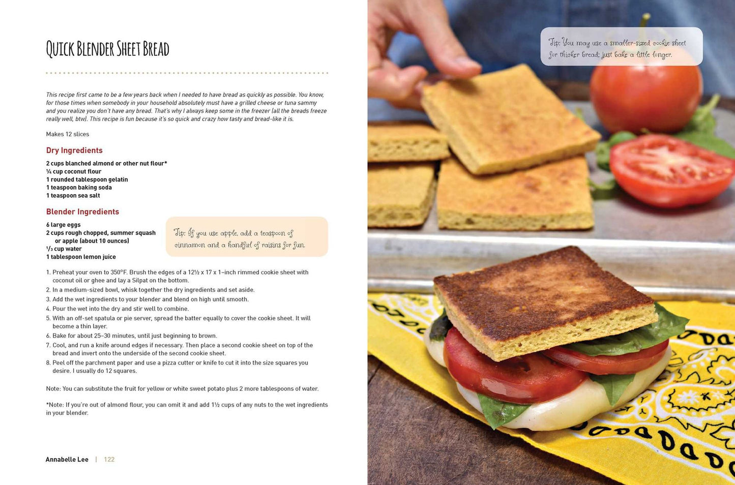 The Grain-Free, Sugar-Free Blender Cookbook: Healthy Gluten-Free Recipes from My California Country Kitchen