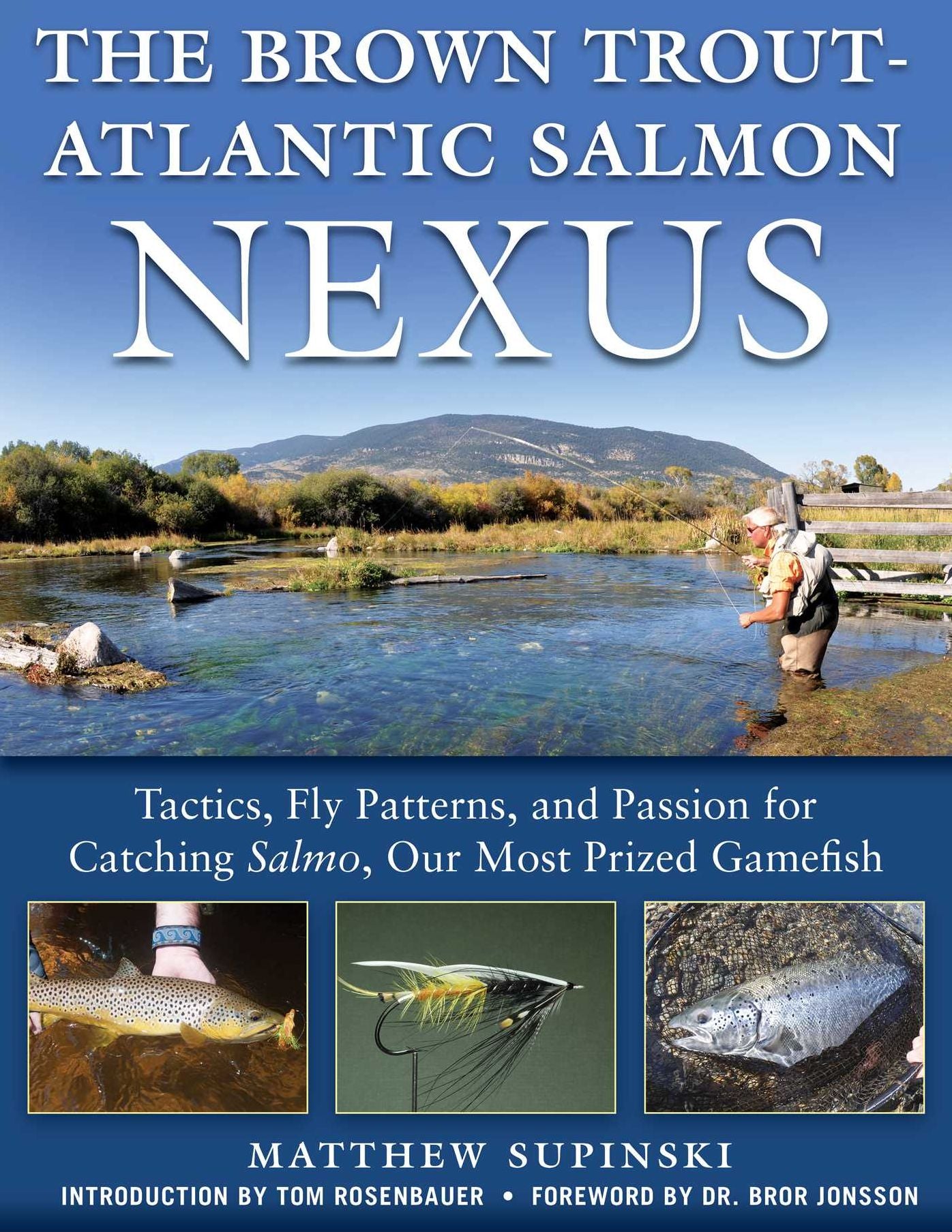 The Brown Trout-Atlantic Salmon Nexus: Tactics, Fly Patterns, and the Passion for Catching Salmo, Our Most Prized Gamefish