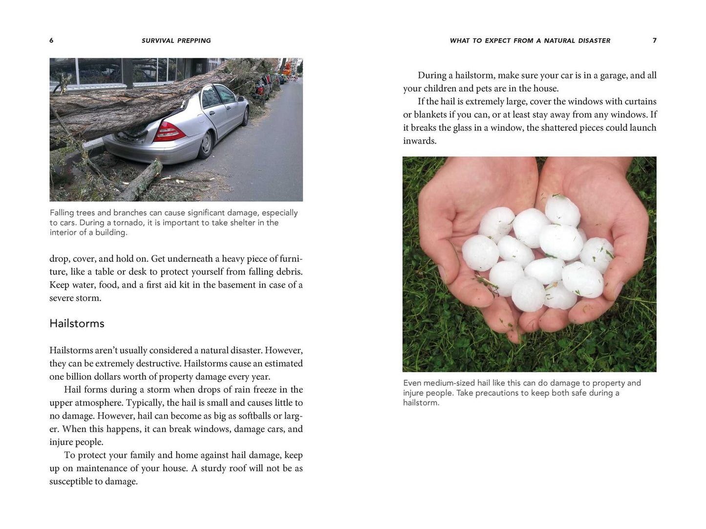 Survival Prepping: A Guide to Hunkering Down, Bugging Out, and Getting Out of Dodge